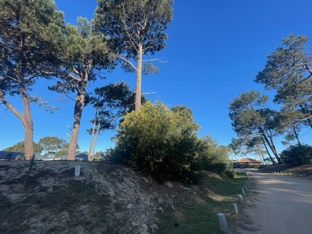 Lote i2 Pinar del Faro - foto 5