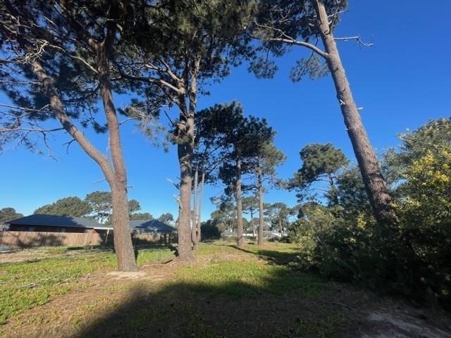 Lote i2 Pinar del Faro