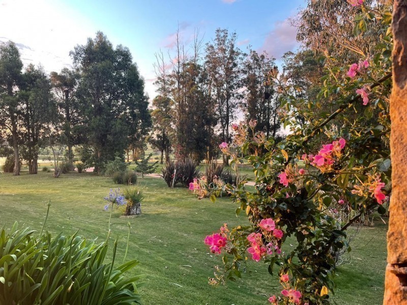 Lote 49 Pueblo Mio Iaorana - foto 25