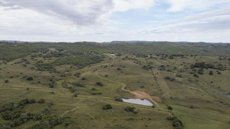 Chacra Minas ruta 60 km35 - foto 2