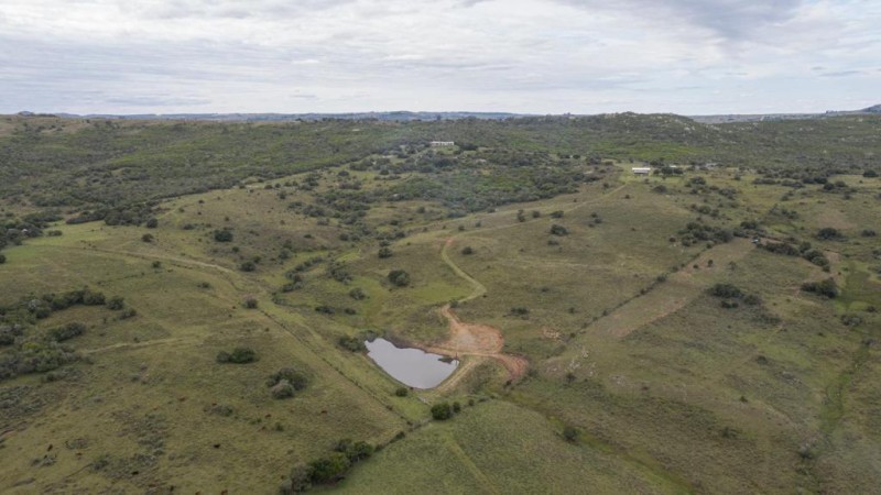 Chacra Minas ruta 60 km35 - foto 18