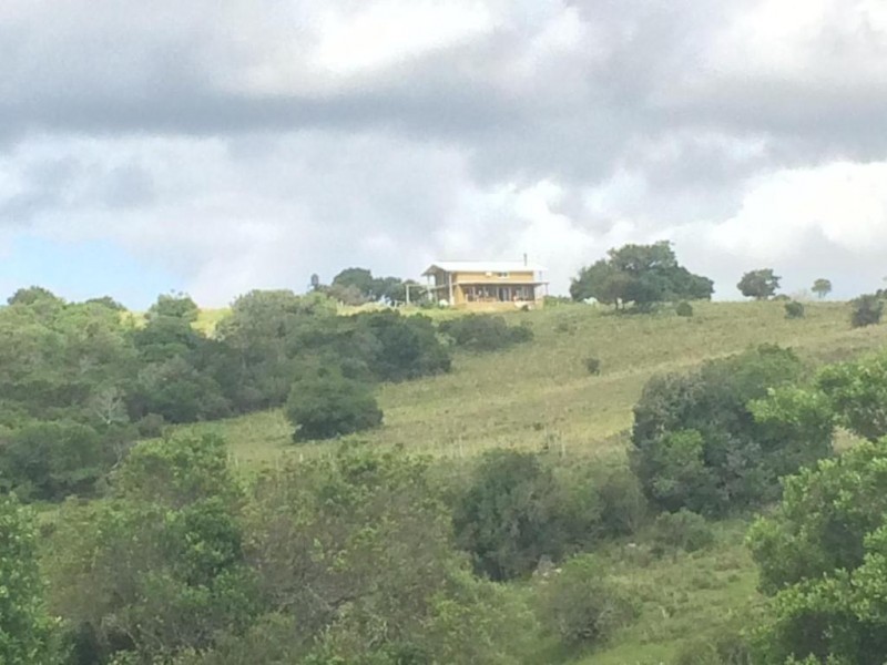 Chacra Minas ruta 60 km35 - foto 20