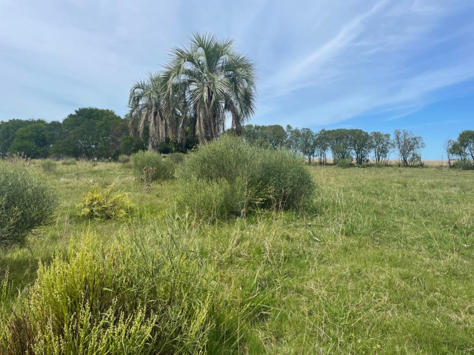 Chacra rural en Garzón en venta
