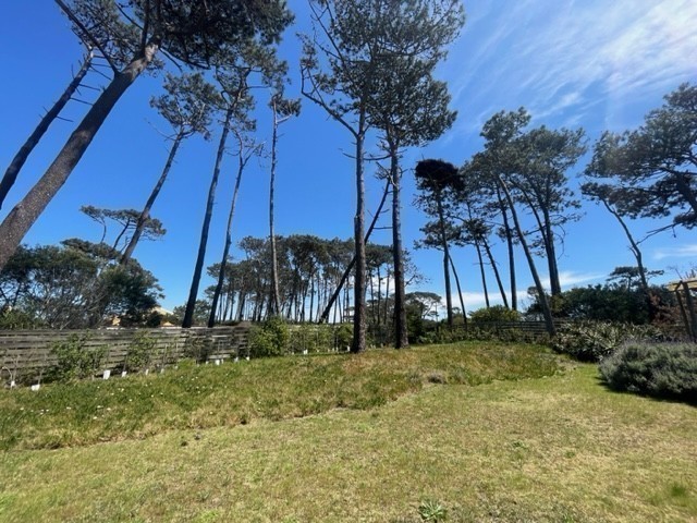 Mokini - foto 24