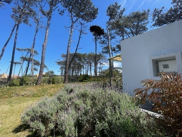 Mokini - foto 23