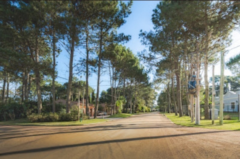 Bosques del Mar - foto 6