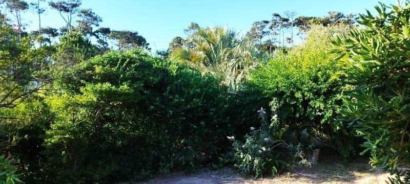 Loft Hercilia - foto 7