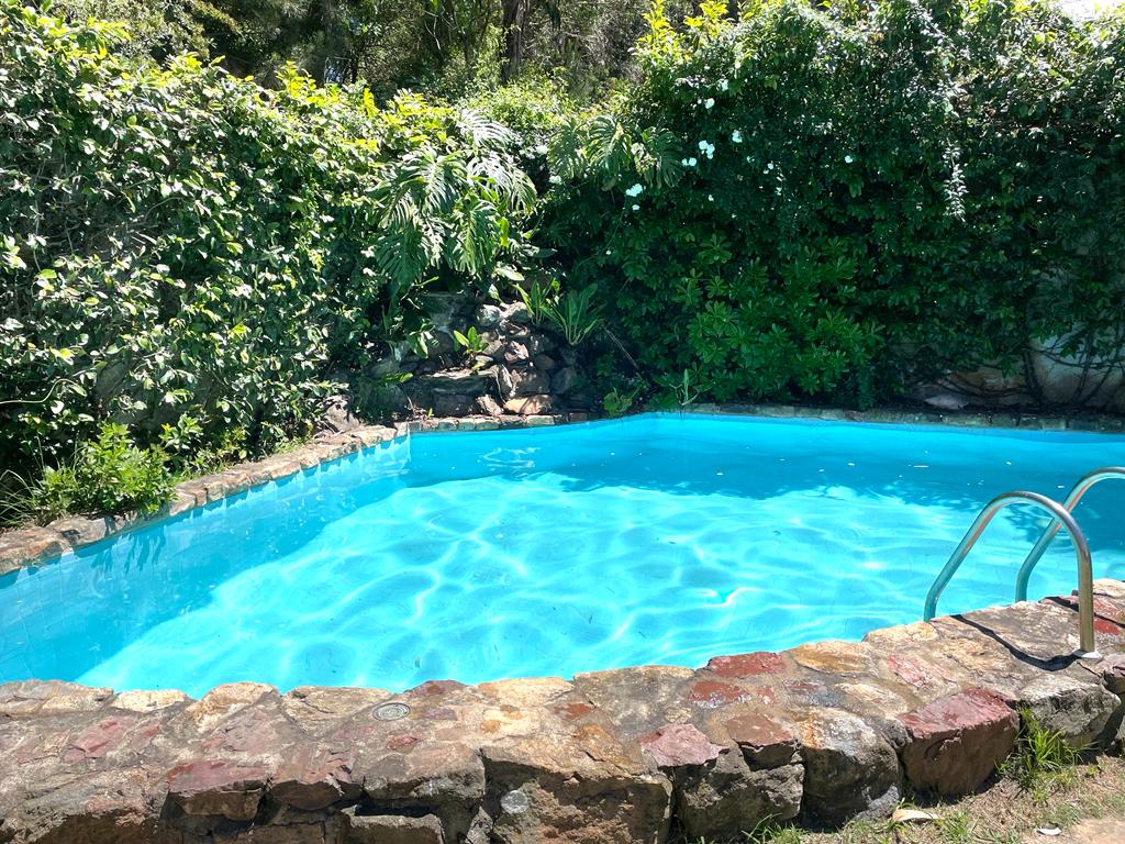 La Consentida - foto 11