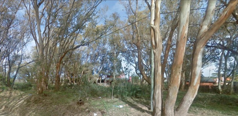 Lote Pad 3551 - foto 5
