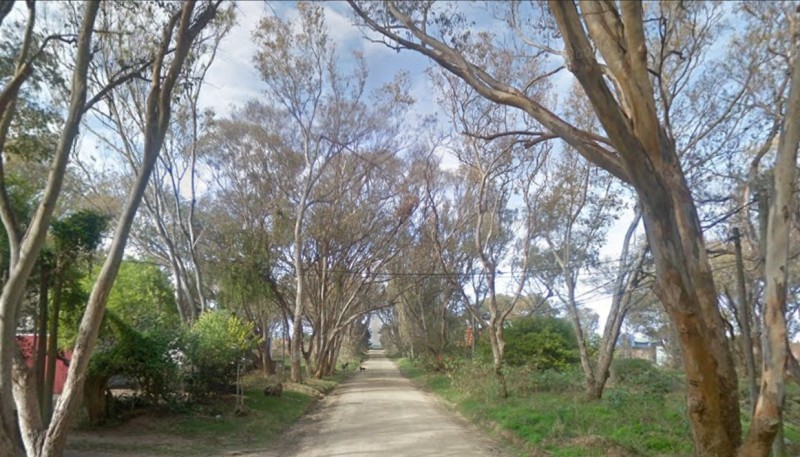 Lote pad 3552 - foto 2