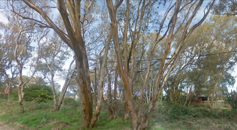 Lote pad 3552 - foto 4