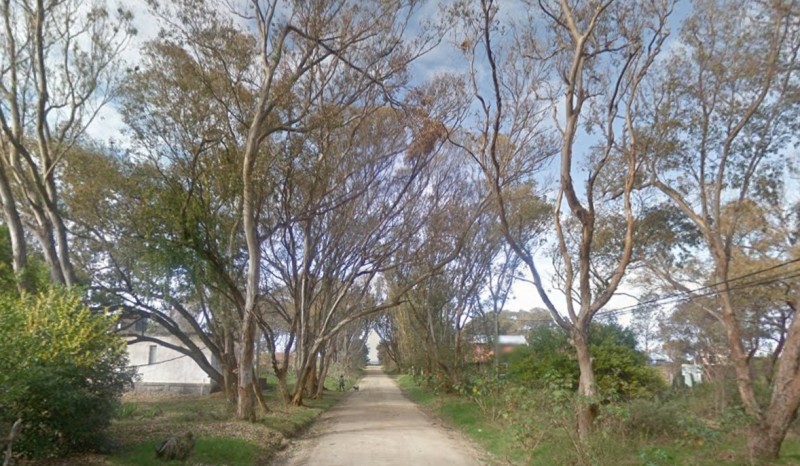 Lote pad 3553 - foto 3