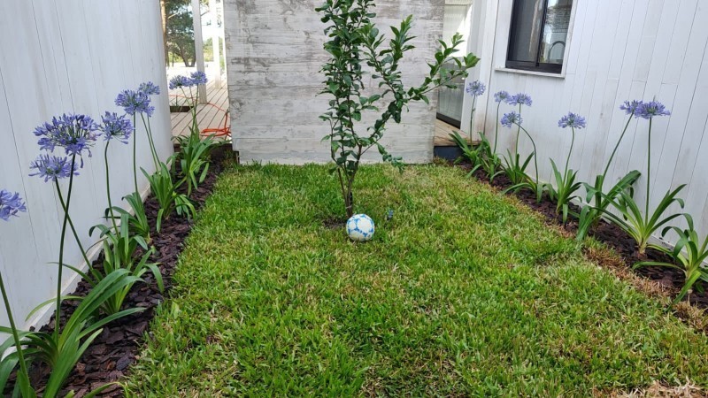 R7 Pinar del Faro - foto 16