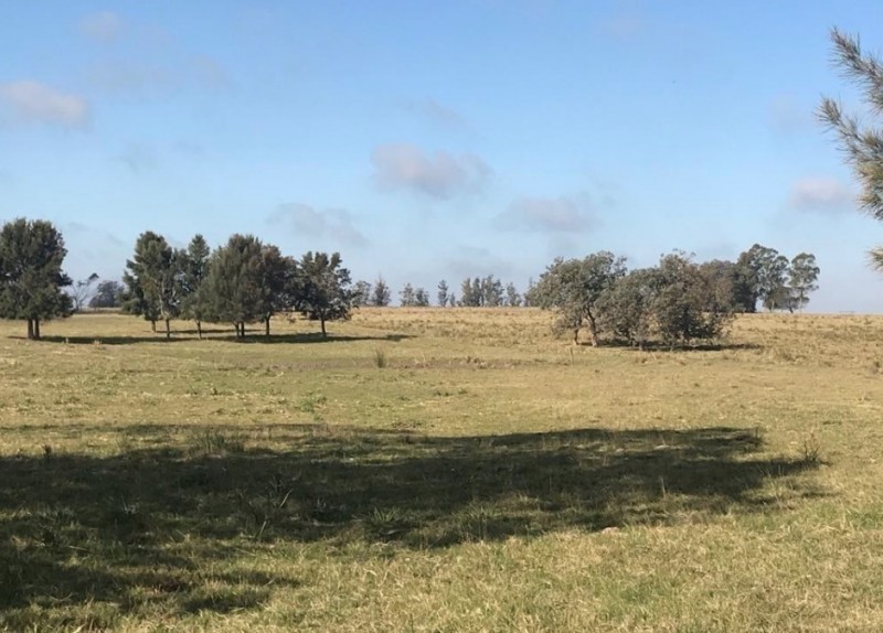 Lote pad 23476 Medellin Haras Mirador - foto 3