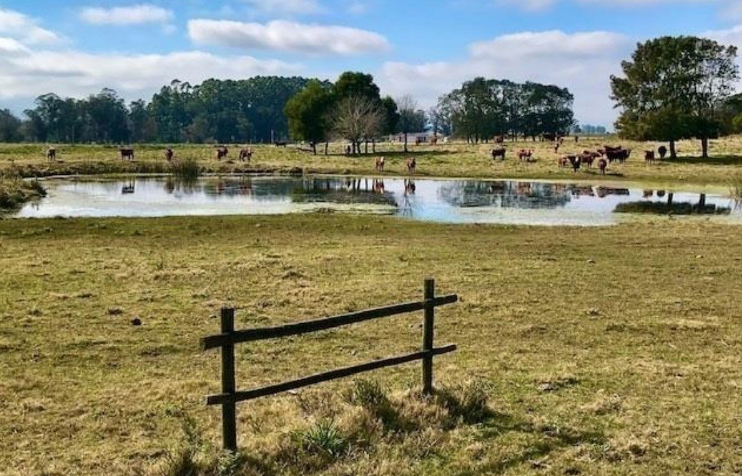 Espectacular chacra en Barrio Privado Jose Ignacio
