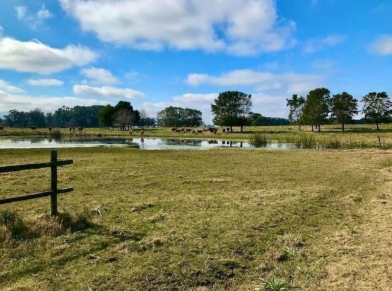 Lote pad 22747 - foto 4