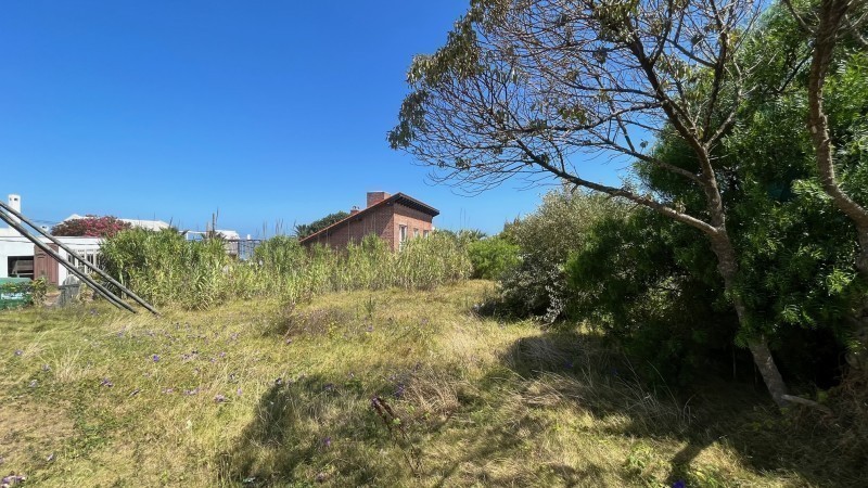 Lote para proyecto el tilo + vecino