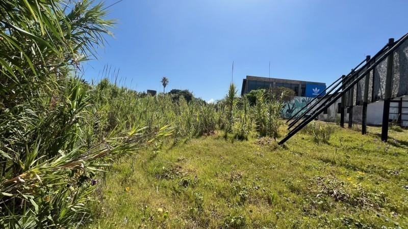 Lote para proyecto el tilo + vecino - foto 4