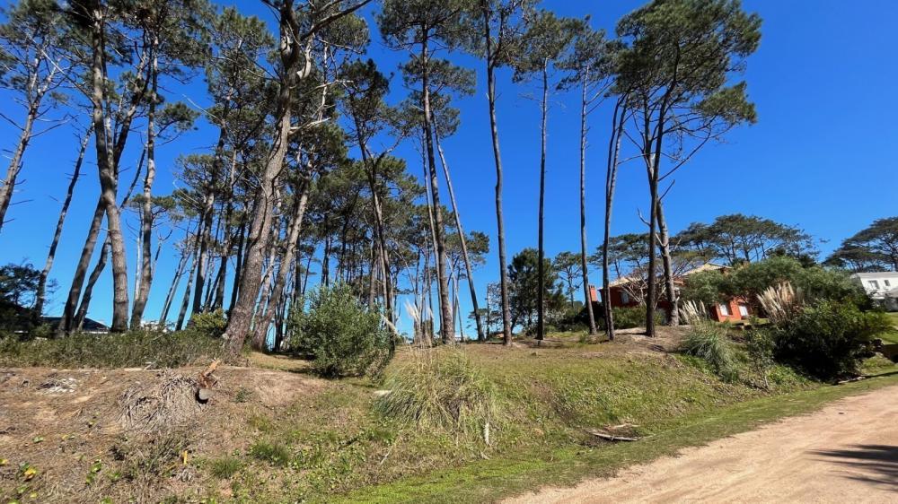 Lote en Laguna Blanca, La Barra