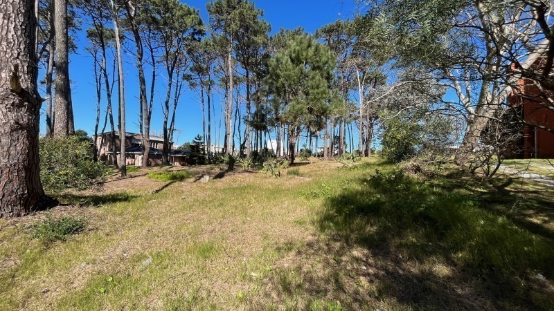 Lote M3 Laguna Blanca - foto 2