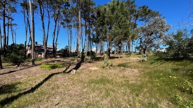 Lote M3 Laguna Blanca - foto 4