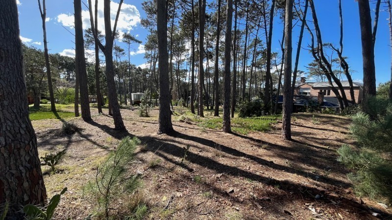 Lote M3 Laguna Blanca - foto 8