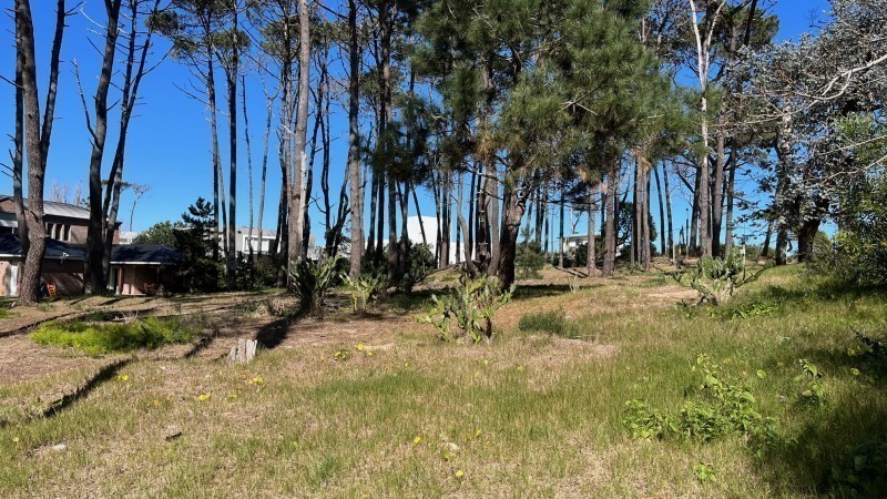 Lote M3 Laguna Blanca - foto 5