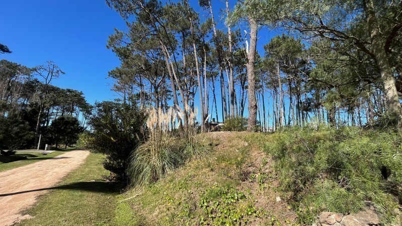 Lote M3 Laguna Blanca - foto 7