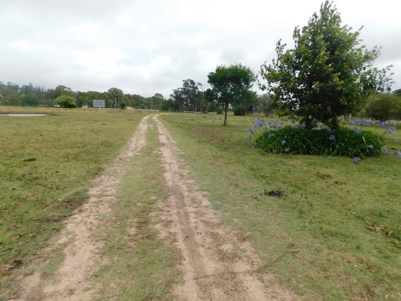Campo Garzon frente escuela - foto 4