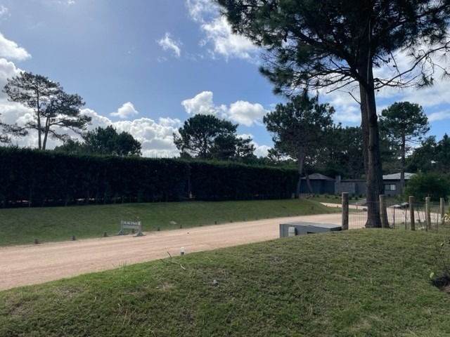 H13 Pinar del Faro - foto 20