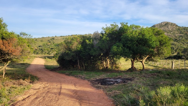 Raquelita - foto 4