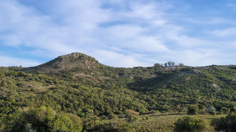 Raquelita - foto 2
