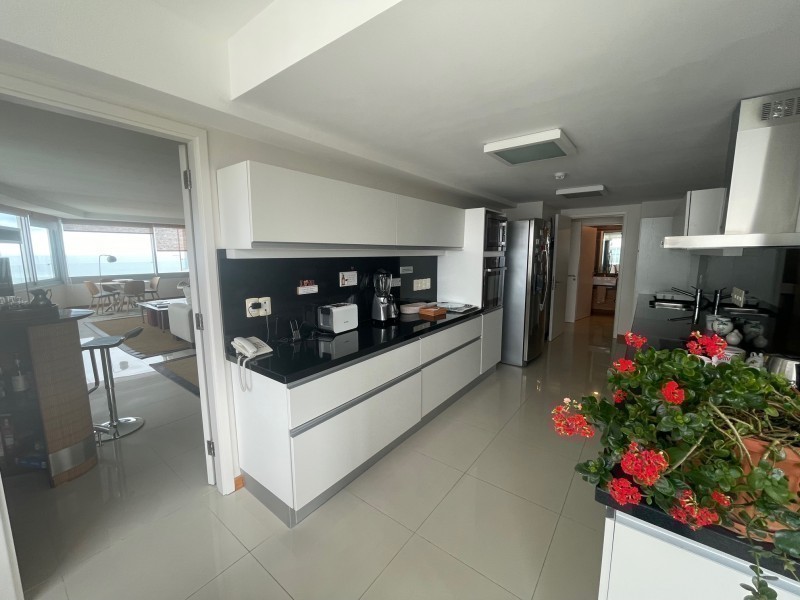 Tiburon III 1804 - foto 12