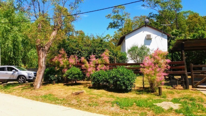 Olivar - foto 2
