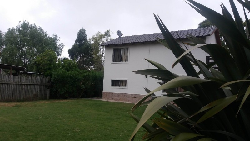 Olivar - foto 13