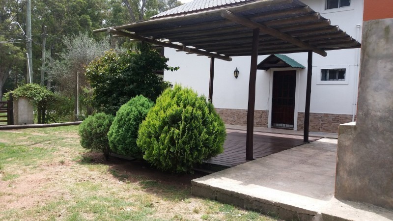 Olivar - foto 15