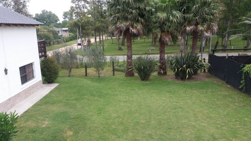 Olivar - foto 18