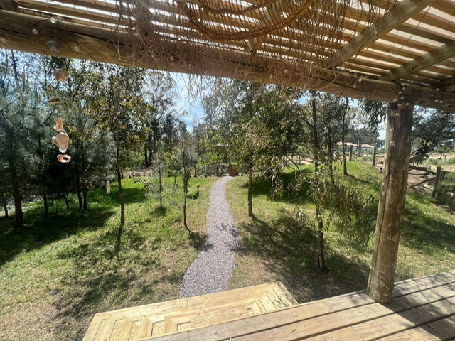 Barra Verde Serendipia Ticky - foto 20