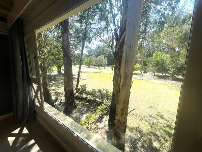 Forest Lagoon 105 - foto 3