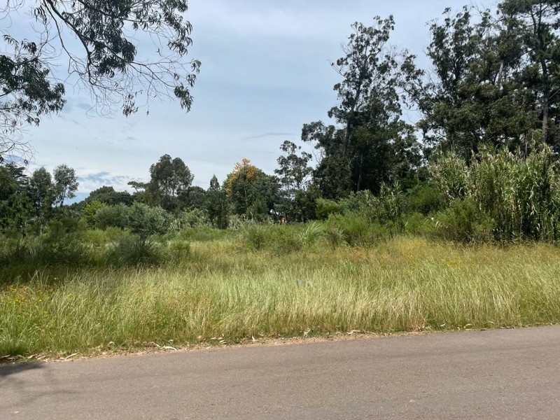 Terreno - San Rafael - foto 10