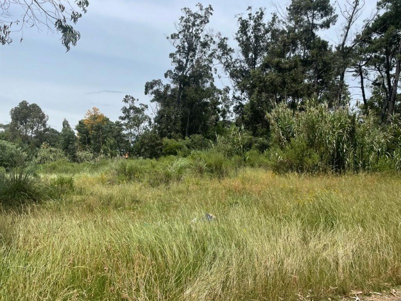 Terreno - San Rafael - foto 7