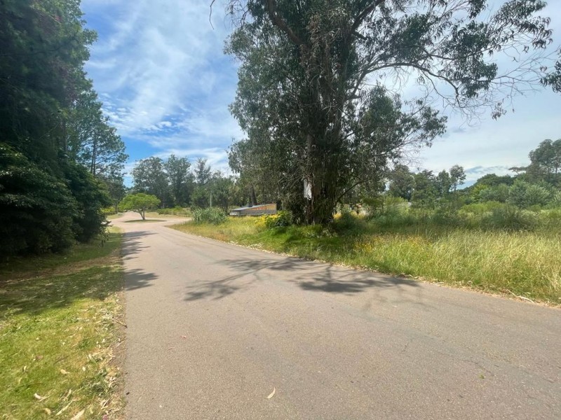 Terreno - San Rafael - foto 4