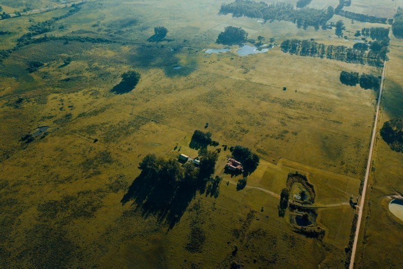 La Morenita - foto 17