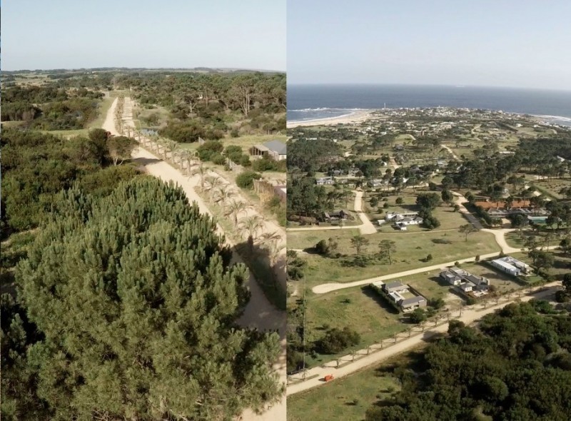 Playa Brava - foto 21