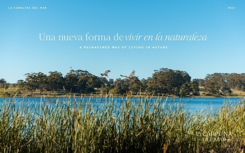La carolina del Mar Lotes - foto 10