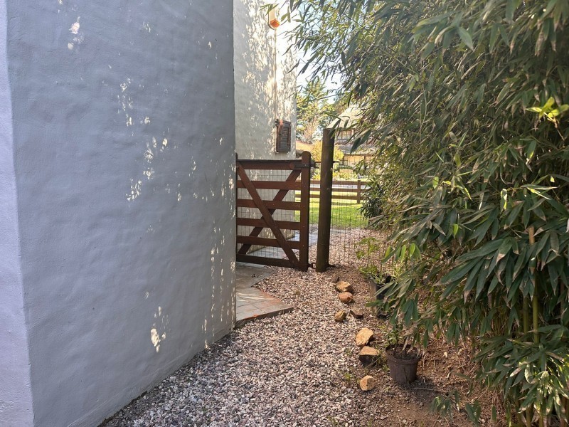 Pinares - Insula - foto 21