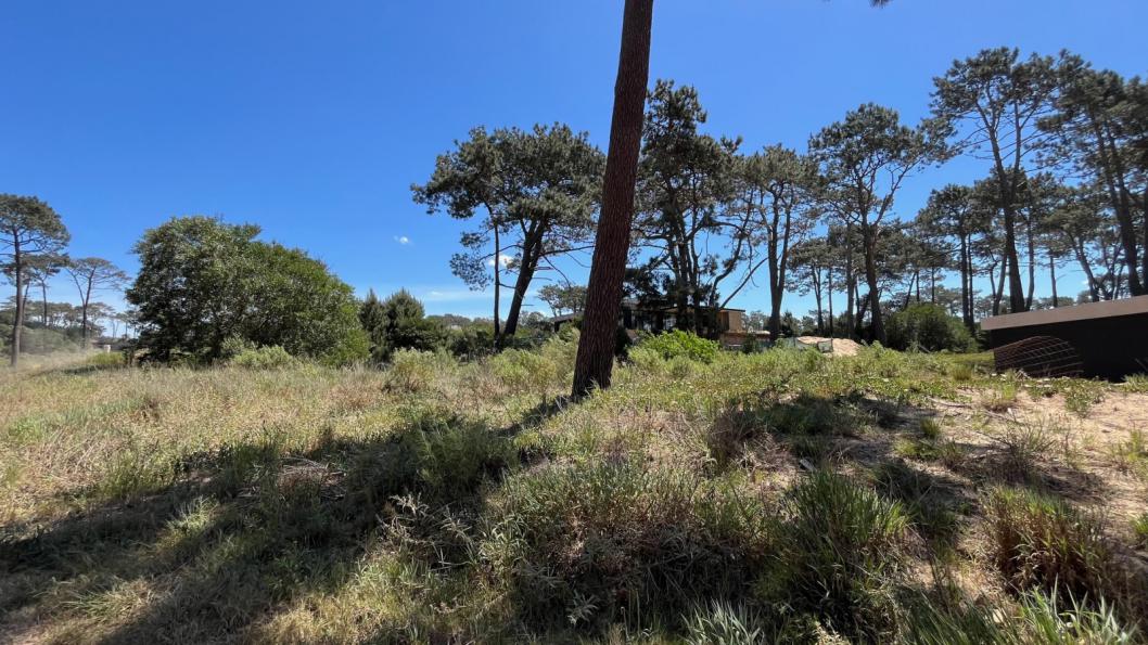 Lote en venta en La Reserva de Montoya
