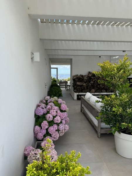 Silente I penthouse - foto 4