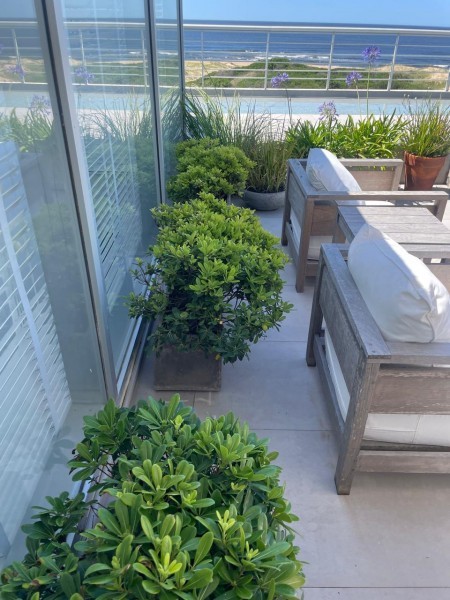 Silente I penthouse - foto 7