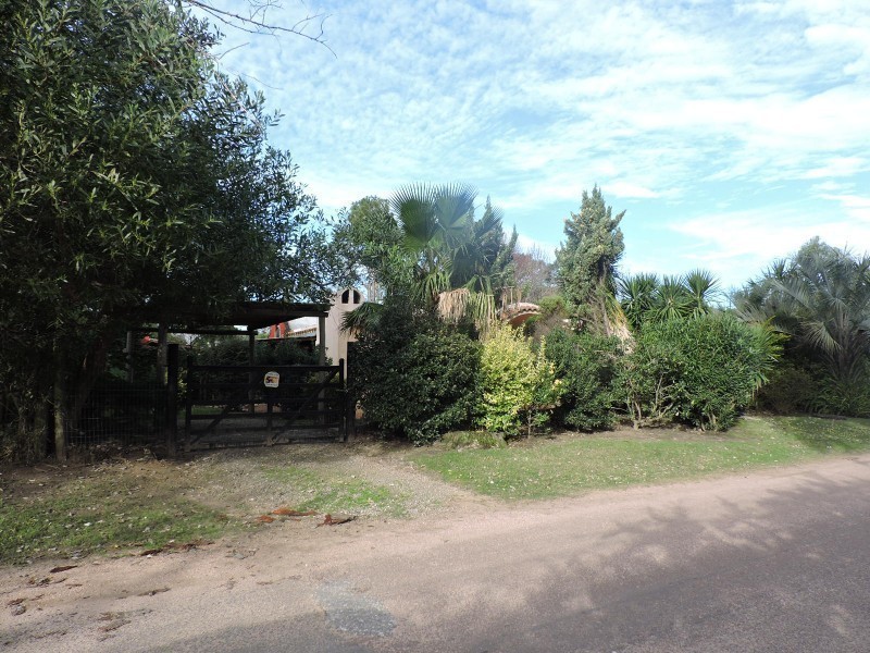 La Malagueña - foto 4
